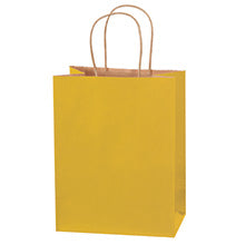 8x4.5x10.25 Yellow Tinted Shopping Bags