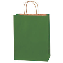 10x5x13 Green Tinted Shopping Bags