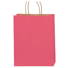10x5x13 Pink Tinted Shopping Bags BGS117PI - alias listing