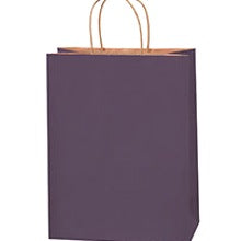 10x5x13 Purple Tinted Shopping Bags BGS117PU - alias listing