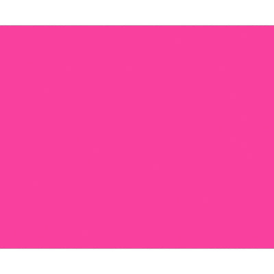 3x4 Fluorescent Pink Inventory Rectangle Labels Paper 500/Roll DL631K - alias listing
