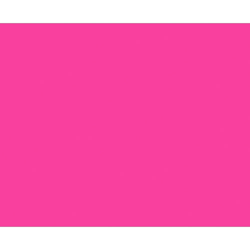 3x4 Fluorescent Pink Inventory Rectangle Labels Paper 500/Roll DL631K - alias listing