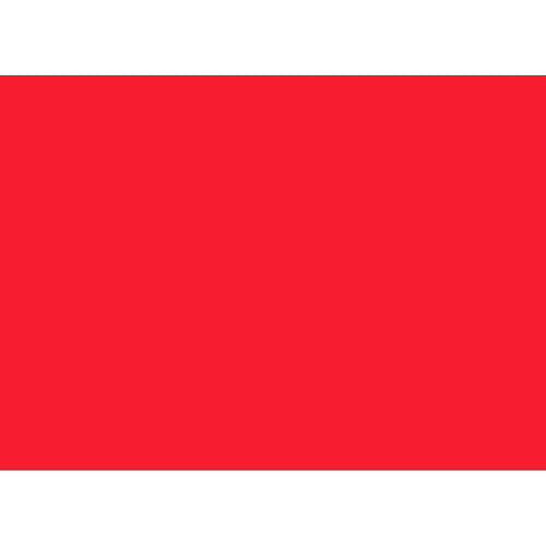 4x6 Fluorescent Red Inventory Labels 500/Roll DL635G - alias listing