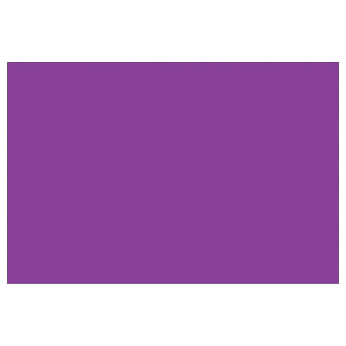 4x6 Purple Inventory Rectangle Labels 500/Roll DL635M - alias listing