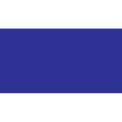 2x4 Dark Blue Inventory Rectangle Labels Paper 500/Roll DL636B - alias listing