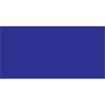 High-visibility 2x4" dark blue inventory rectangle labels designed for logistics professionals managing warehouse stock and shipment tracking. Write directly on paper material with pen or marker for instant identification. 500 labels per roll‚stock essential compliance labeling without downtime.