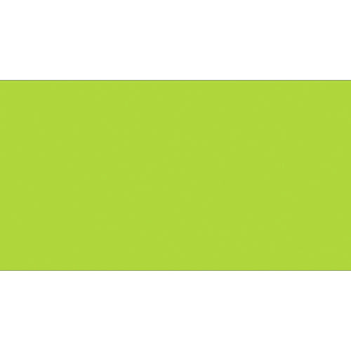 2x4 Fluorescent Green Rectangle Inventory Labels 500/Roll DL636J - alias listing