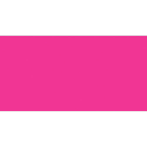 2x4 Fluorescent Pink Inventory Rectangle Labels 500/Roll DL636K - alias listing