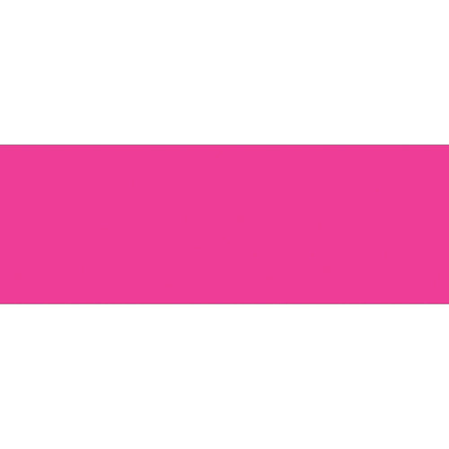 3x9 Fluorescent Pink Inventory Labels 250/Roll DL637K - alias listing