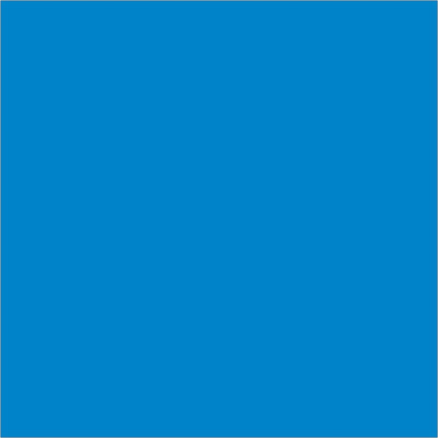 Bright light blue 4x4" rectangle inventory labels make quick visual identification and manual notation effortless in any warehouse or logistics operation. 500 labels per roll on paper stock with excellent pen and marker adhesion. Compatible with standard tabletop and wall-mount dispensers for streamlined label application.