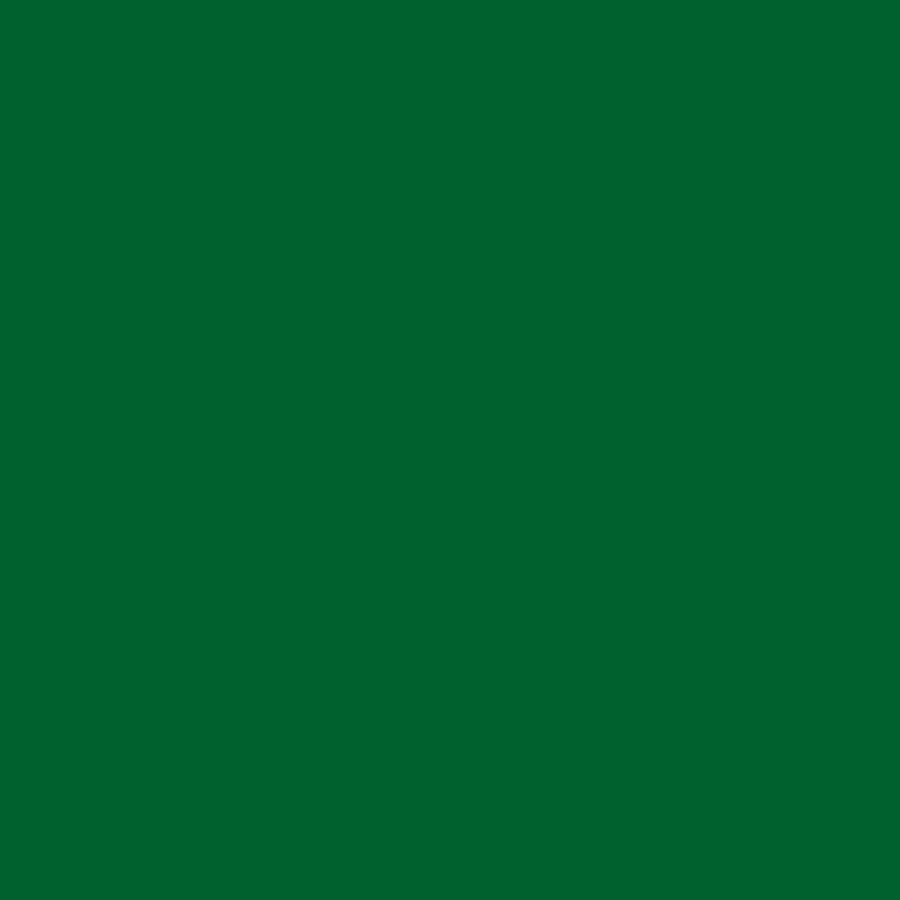 4x4 Green Inventory Rectangle Labels Paper 500/Roll DL638D - alias listing