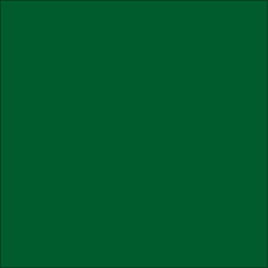Professional-grade 4" x 4" green inventory rectangle labels on a 500-count roll. Writable paper surface accepts pen and marker applications for fast, reliable warehouse labeling. Compatible with multiple table-top and wall-mount dispensers to streamline your inventory management workflow.