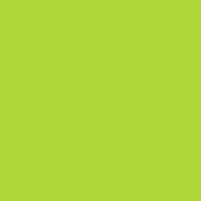 4x4 Fluorescent Green Inventory Labels 500/Roll DL638J - alias listing