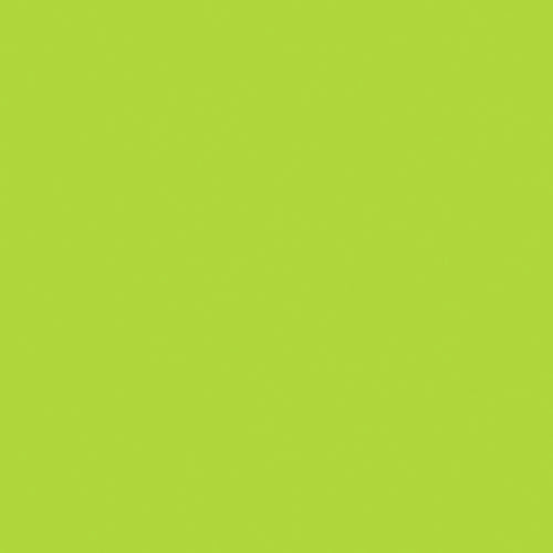 4x4 Fluorescent Green Inventory Labels 500/Roll DL638J - alias listing