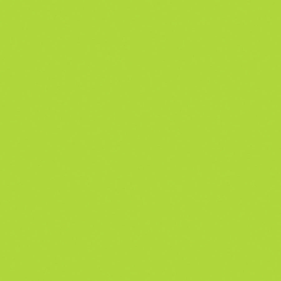 4x4 Fluorescent Green Inventory Labels 500/Roll DL638J - alias listing