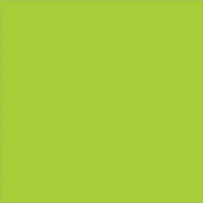Bright fluorescent green 4x4" rectangle labels make inventory items instantly visible across your warehouse or distribution center. Sold as 500-label rolls on paper stock that accepts pen and marker writing. Compatible with Packrift table-top and wall-mounted label dispensers for streamlined workflow integration.