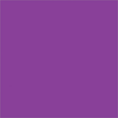Color-coded purple inventory rectangle labels in 4x4" size deliver instant visual organization for warehouse and logistics operations. 500 labels per roll with pen-friendly paper surface‚write, apply, and track inventory in seconds. Compatible with standard tabletop and wall-mount label dispensers for seamless workflow integration.