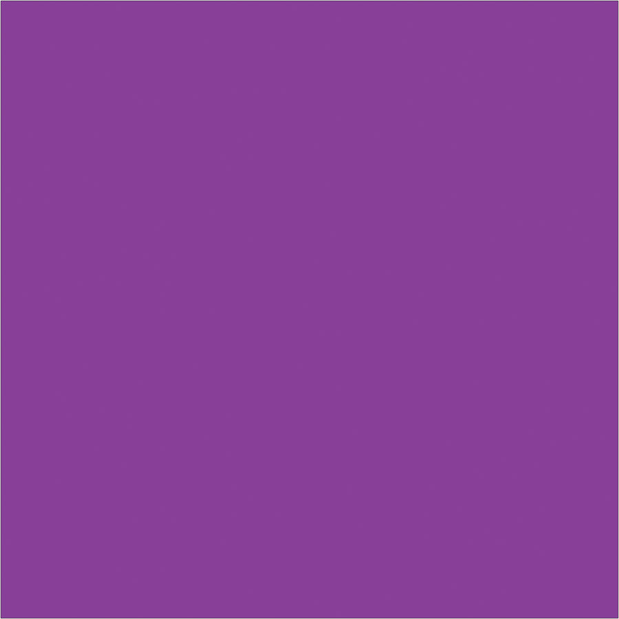 Color-coded purple inventory rectangle labels in 4x4" size deliver instant visual organization for warehouse and logistics operations. 500 labels per roll with pen-friendly paper surface‚write, apply, and track inventory in seconds. Compatible with standard tabletop and wall-mount label dispensers for seamless workflow integration.