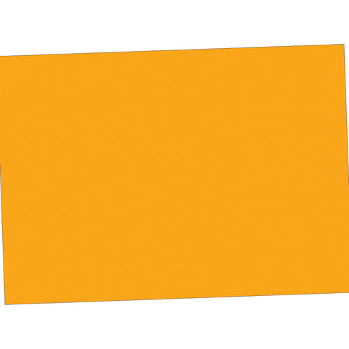 5x7 Fluorescent Orange Inventory Labels 500/Roll DL639H - alias listing