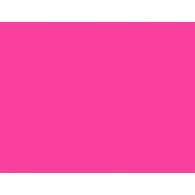 5x7 Fluorescent Pink Inventory Labels 500/Roll DL639K - alias listing