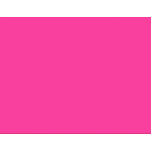 5x7 Fluorescent Pink Inventory Labels 500/Roll DL639K - alias listing