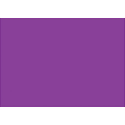 Streamline your warehouse inventory management with these 5x7" purple rectangle labels. Each roll contains 500 write-on paper labels that work with both tabletop and wall-mount dispensers for maximum flexibility. Quick identification and organization across shipping, receiving, and storage areas.