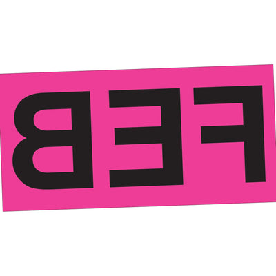 3x6 Fluorescent Pink February Month Labels Pressure Sensitive 500/Roll DL6722 - alias listing