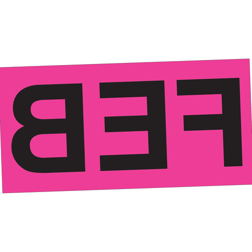 3x6 Fluorescent Pink February Month Labels Pressure Sensitive 500/Roll DL6722 - alias listing