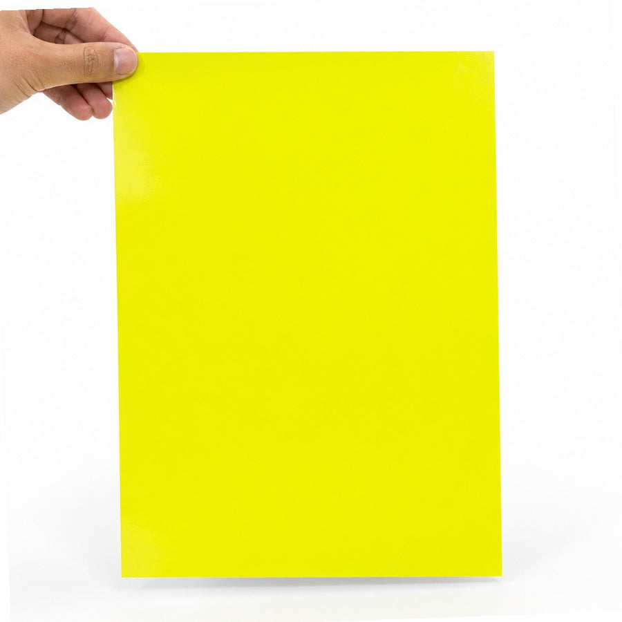 3 in Fluorescent Yellow Year Labels 2024 High Gloss DL6838 - alias listing