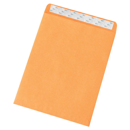 10x13 Kraft Self-Seal Envelopes 500/Case EN1061 - alias listing