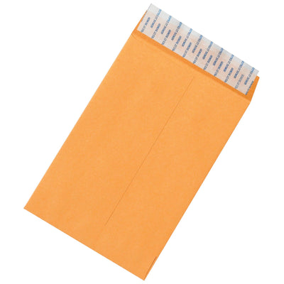 6x9 28 lb Kraft Self-Seal Envelopes 500/Case EN1068 - alias listing