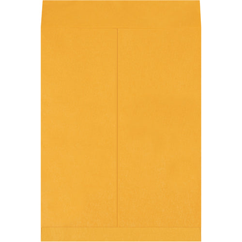 Ship oversized documents, prints, and flat items with our 20 x 15