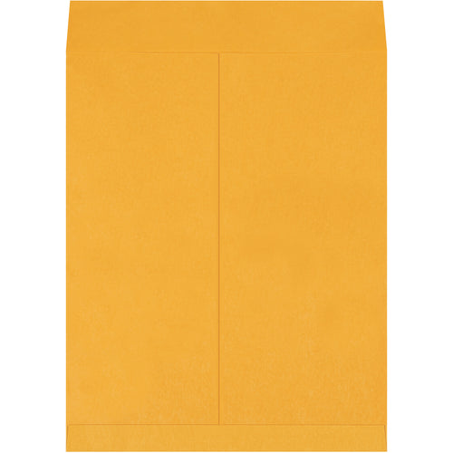 Heavy-duty 20x16 kraft jumbo envelopes designed for oversized printed materials and flat storage. Ungummed flaps enable cost-effective reuse, while 28 lb. paper stock ensures durability in transit. Order by the case of 100 for maximum efficiency.