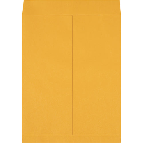 Protect oversized prints and documents with these durable 22 x 17