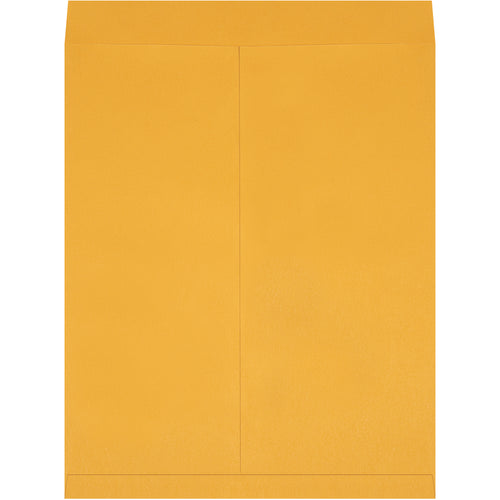 Protect oversized documents and printed materials with these 27 x 22