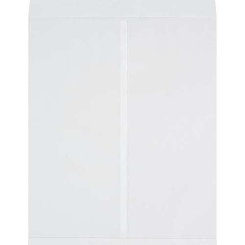 27x22 28 lb White Ungummed Jumbo Envelopes 100/Case EN1086W - alias listing