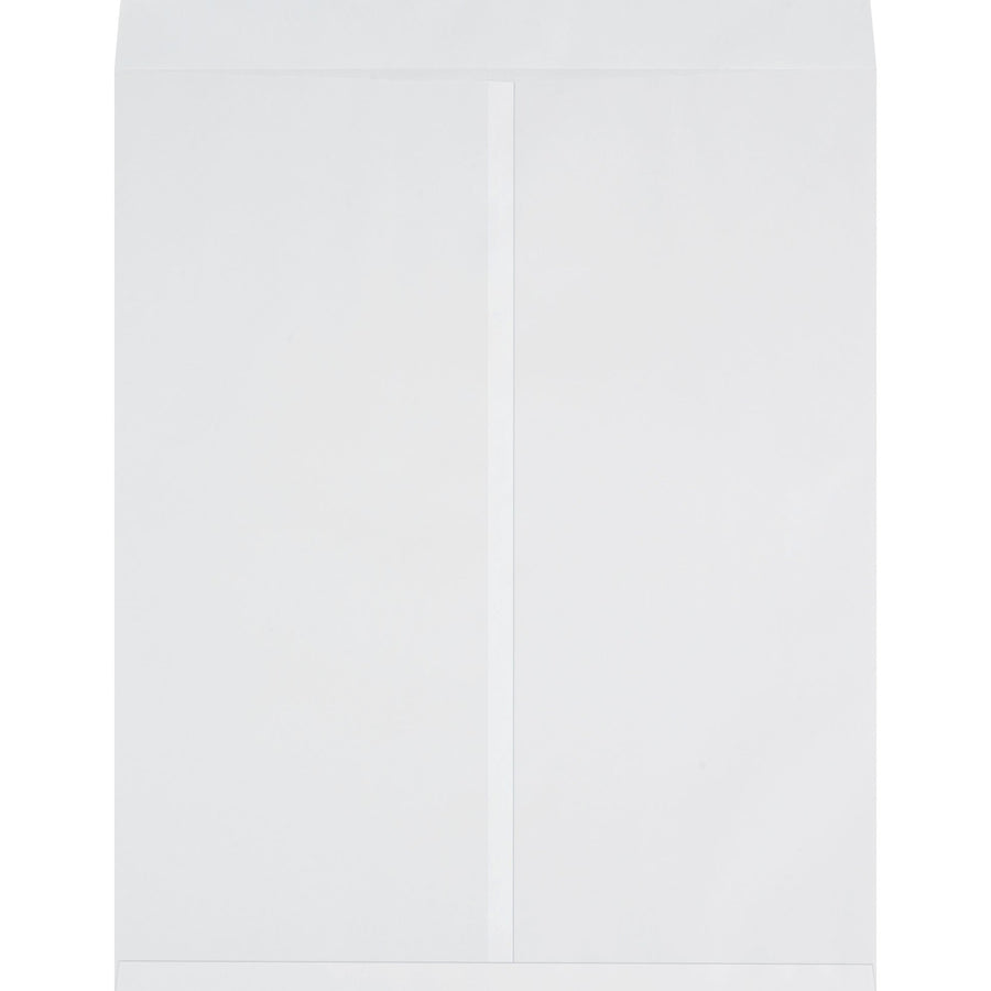 27x22 28 lb White Ungummed Jumbo Envelopes 100/Case EN1086W - alias listing