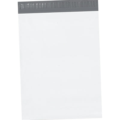 15x20x4 2.5 Mil Self-Seal Poly Mailers 100/Case EPM15204 - alias listing