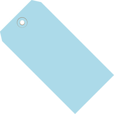 Professional-grade light blue shipping tags made from durable 13-point cardstock for color-coded inventory management. Features reinforced 3/16" tear-resistant eyelets that withstand rough handling during shipping and storage. Sold as a full case of 1,000 unstrung tags‚ready to attach with string or wire.