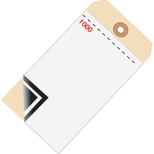 6 1/4 x 3 1/8 in 10 Pt 3-Part Carbon Inventory Tags Cardstock 500/Case G17501 - alias listing