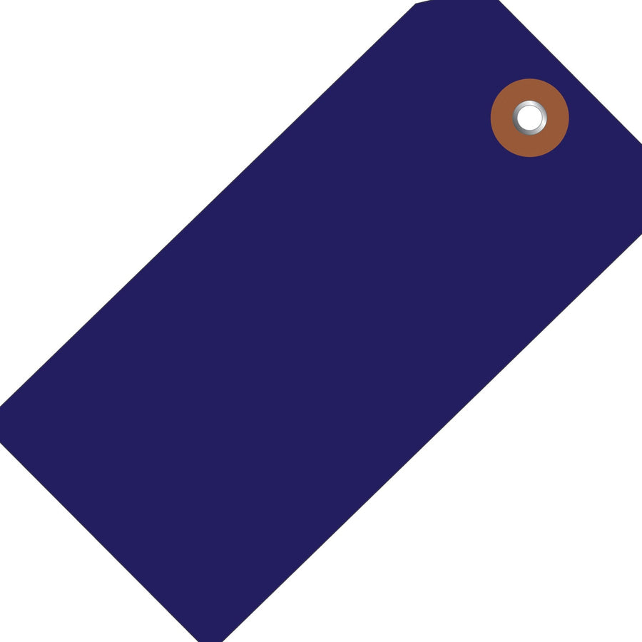 6 1/4 x 3 1/8 in 10 Mil Blue Plastic Shipping Tags Waterproof 100/Case G26062 - alias listing