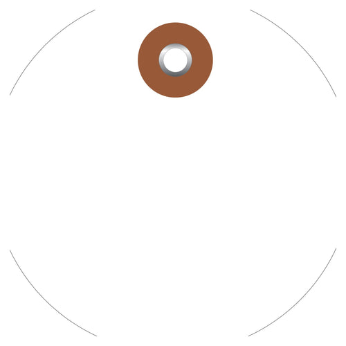 2 in White Vinyl Circle Tags with Metal Eyelet 100/Case G26064 - alias listing