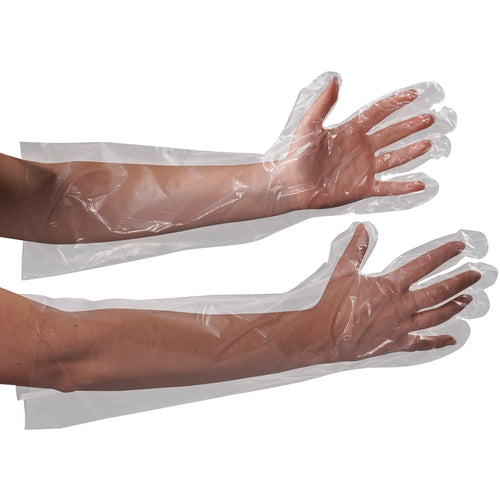 Economical clear polyethylene gloves with 18