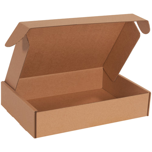 Professional kraft corrugated literature mailers (14