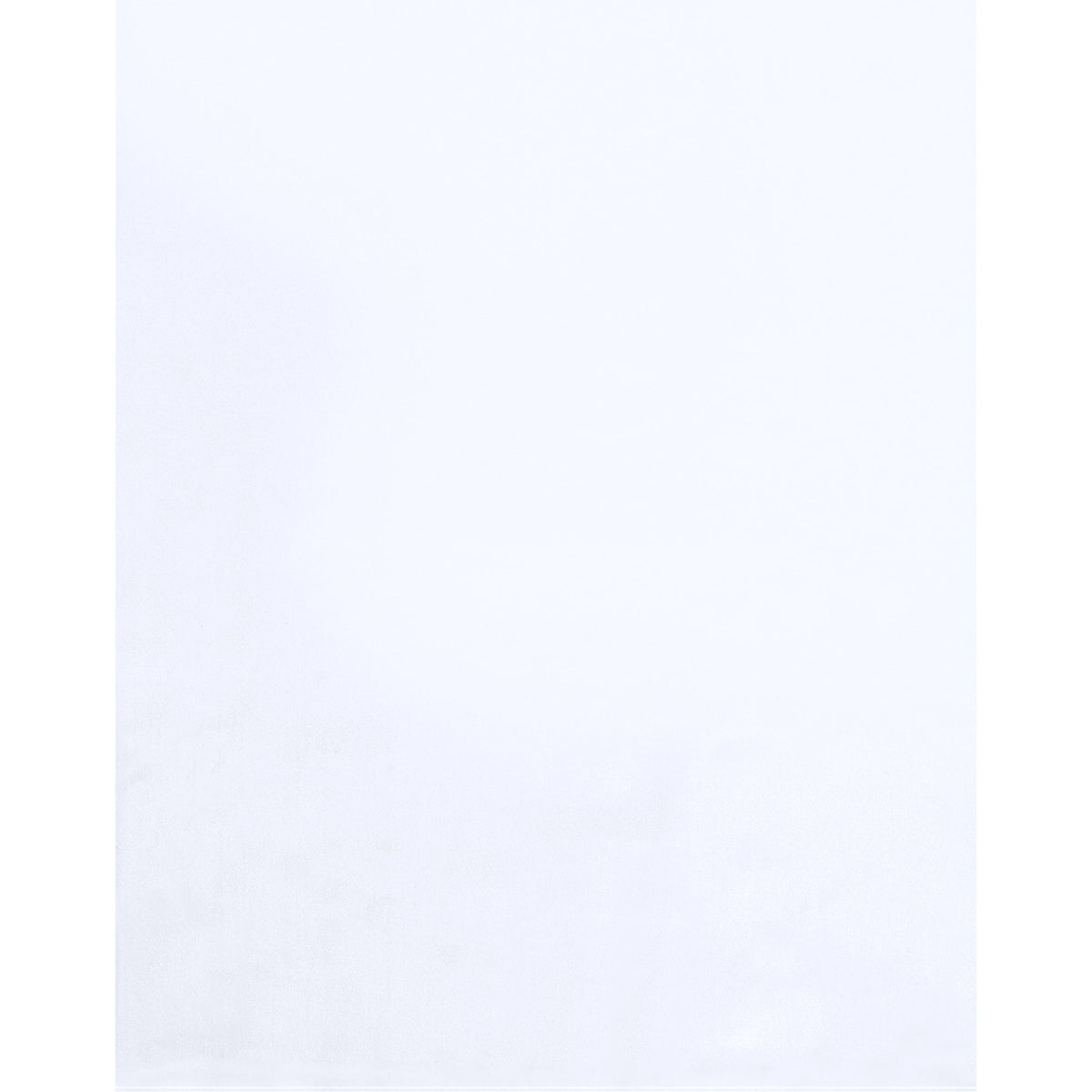 3x12 4 Mil Clear Flat Heavy-Duty Poly Bags 1000/Case PB1047