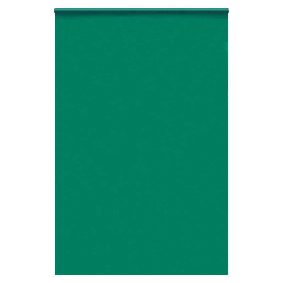5x8 2 Mil Green Reclosable Poly Bags 1000/Case PB3585G - alias listing