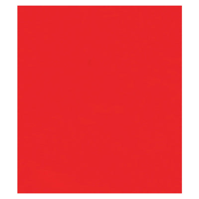 10x12 2 Mil Red Reclosable Poly Bags 1000/Case PB3655R - alias listing