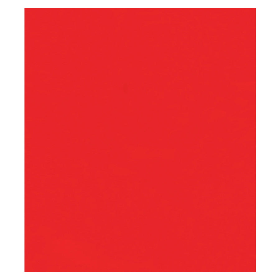 10x12 2 Mil Red Reclosable Poly Bags 1000/Case PB3655R - alias listing