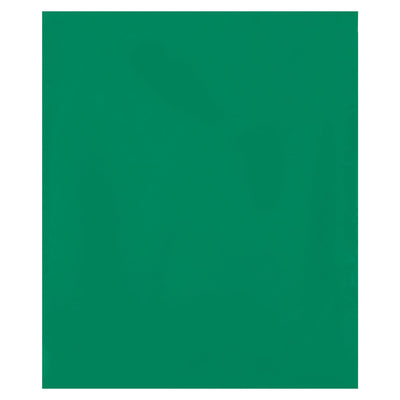 12x15 2 Mil Green Reclosable Poly Bags 1000/Case PB3670G - alias listing