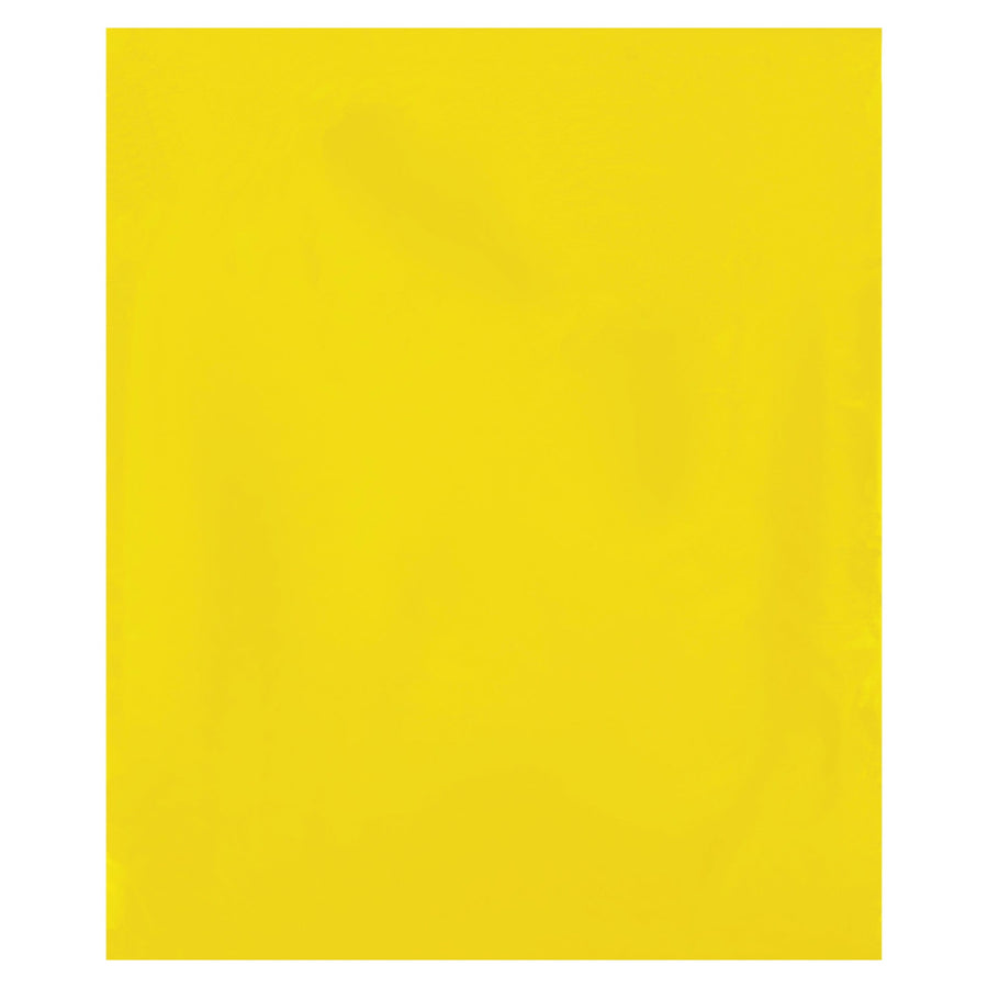 12x15 2 Mil Yellow Reclosable Poly Bags 1000/Case PB3670Y - alias listing